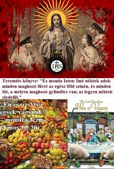 http://hatodiknapon.hupont.hu/felhasznalok_uj/2/4/240913/kepfeltoltes/jezus_vegan_volt.jpg?80791218 http://hatodiknapon.hupont.hu/felhasznalok_uj/2/4/240913/kepfeltoltes/jezus_vegan_volt.jpg?80791218