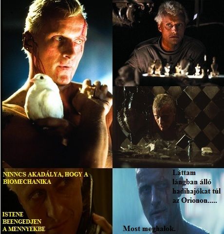 http://hatodiknapon.hupont.hu/felhasznalok_uj/2/4/240913/kepfeltoltes/szarnyas_fejvadasz_-_rutger_hauer_kepek.jpg?64999989